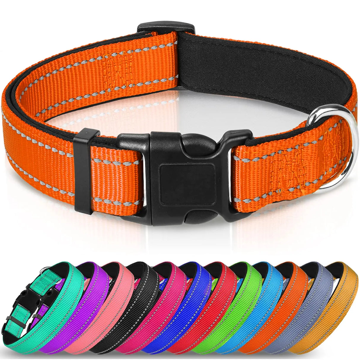 Lapdog Nylon Collar w/neoprene liner