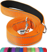 Lapdog Nylon Leash w/neoprene lined handle