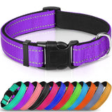 Lapdog Nylon Collar w/neoprene liner