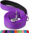 Lapdog Nylon Leash w/neoprene lined handle