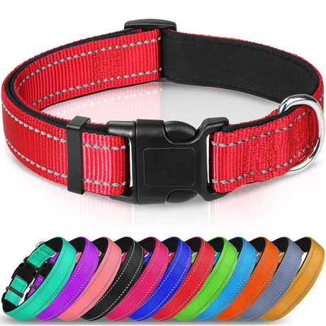 Lapdog Nylon Collar w/neoprene liner