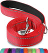 Lapdog Nylon Leash w/neoprene lined handle