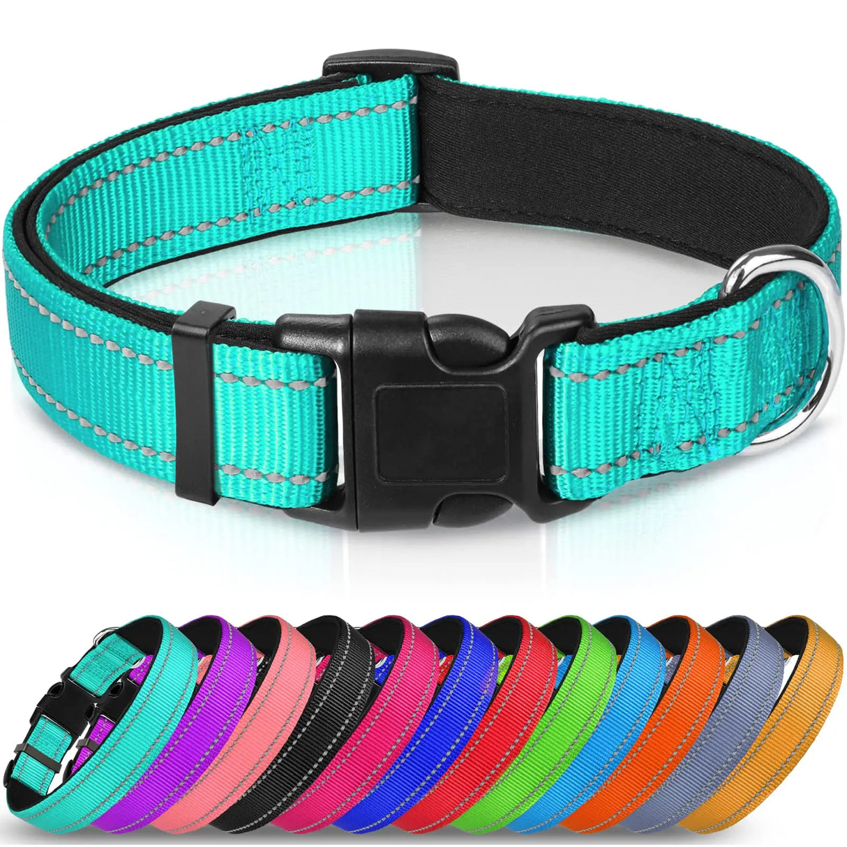 Lapdog Nylon Collar w/neoprene liner