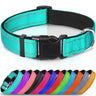 Lapdog Nylon Collar w/neoprene liner