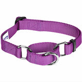 Martingale Dog Collar